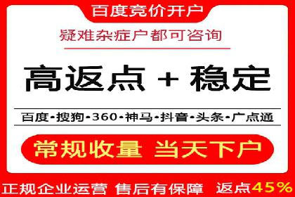 某品牌SEM广告投放的ROI提升案例
